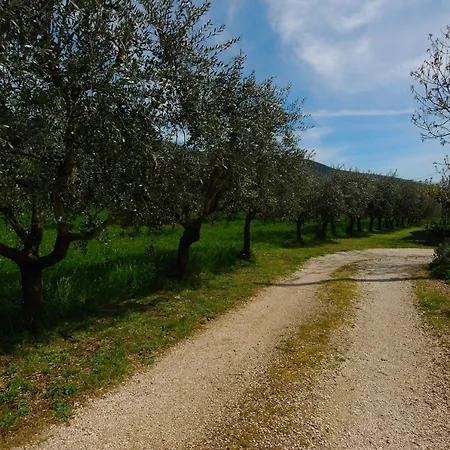 Guesthost - Casa Fiorelli Passaggio di Assisi